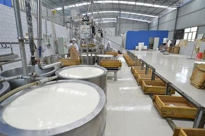 木匠轉(zhuǎn)行賣豆腐 匠心傳承，創(chuàng)業(yè)新篇